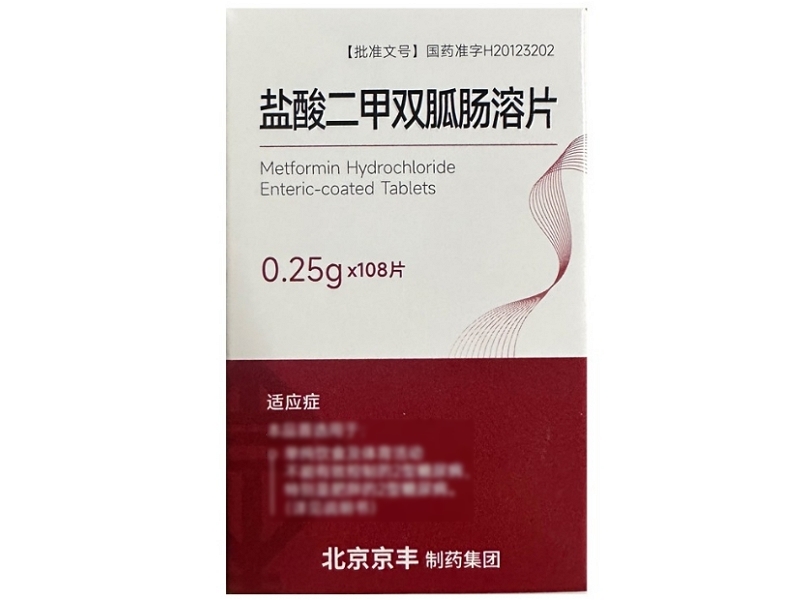 京丰制药盐酸二甲双胍肠溶片招商代理 108片 京丰制药
