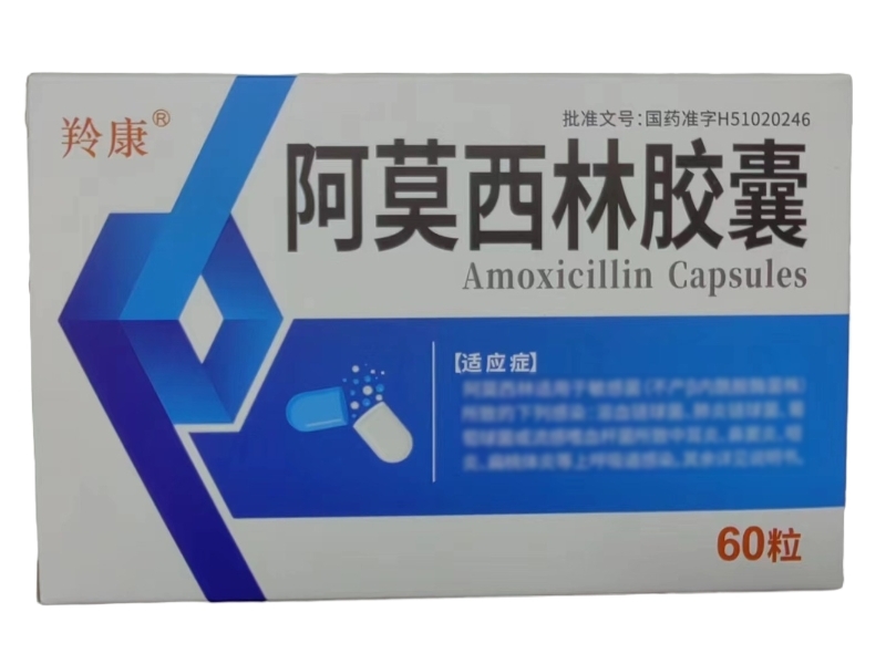 羚康阿莫西林胶囊招商代理 60粒