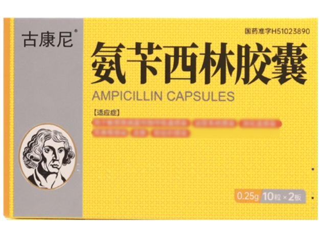 古康尼氨苄西林胶囊招商代理 20粒