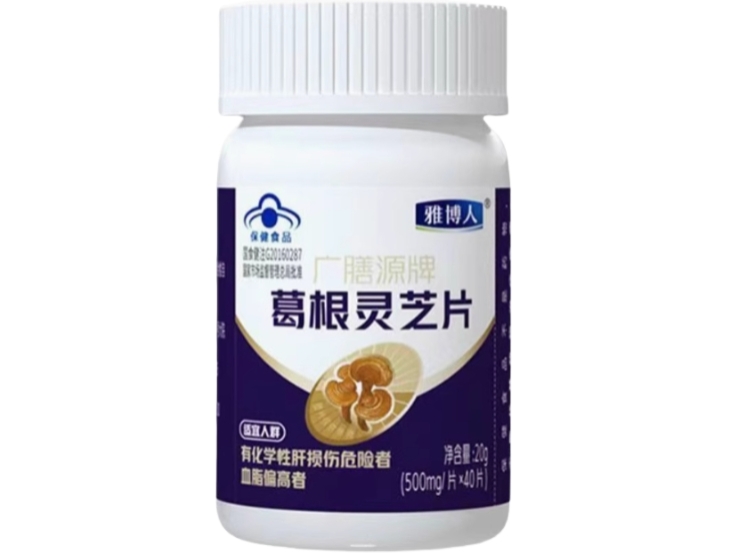 雅博人广膳源牌葛根灵芝片招商代理 40片