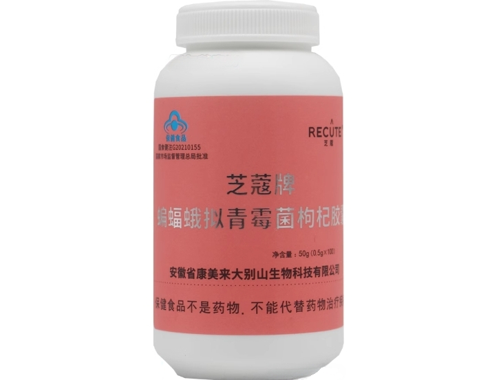 芝蔻牌蝙蝠蛾拟青霉菌枸杞胶囊