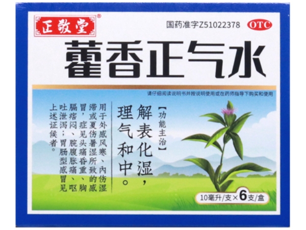 正敬堂藿香正气水招商代理 6支