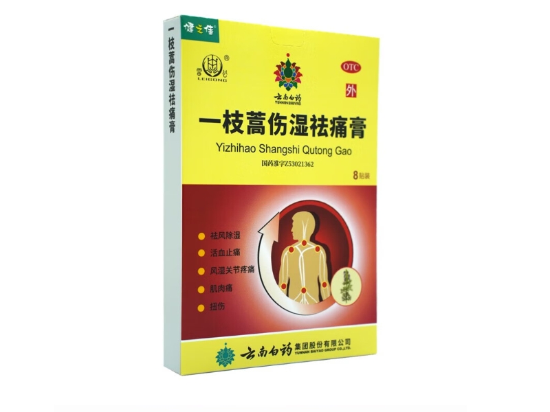 一枝蒿伤湿祛痛膏