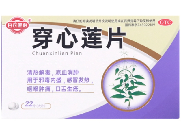 白衣匠心穿心莲片招商代理 22片