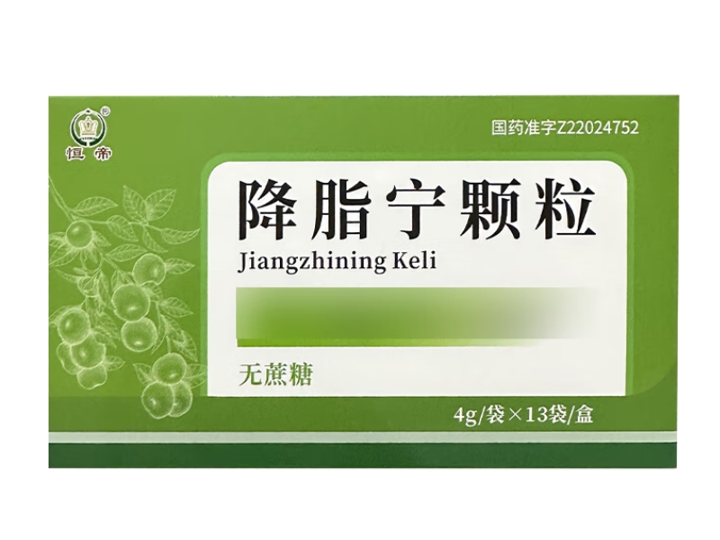 恒帝降脂宁颗粒招商代理 13袋 华侨药业