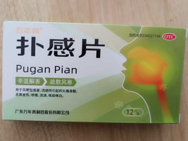 万年青扑感片招商代理 12片 万年青