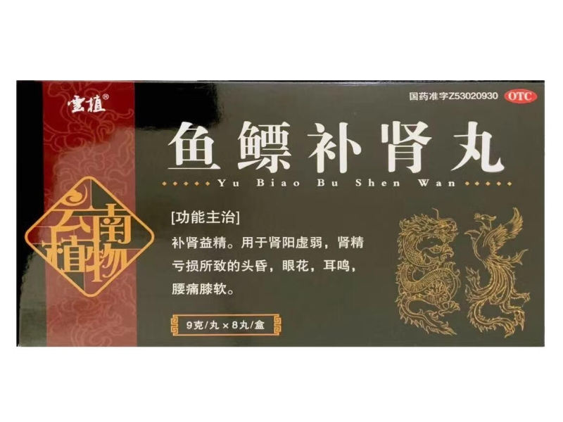 雲植鱼鳔补肾丸招商代理 8丸