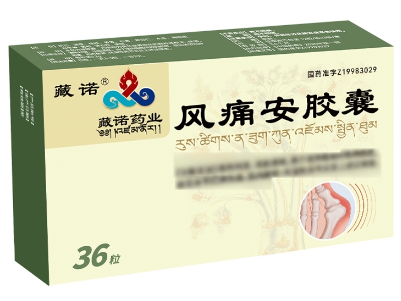 风痛安胶囊