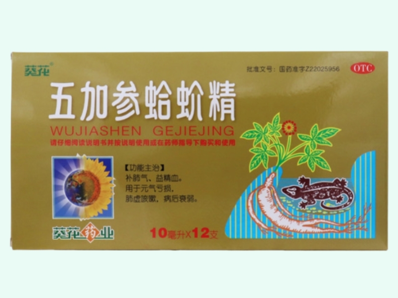 葵花/葵花药业五加参蛤蚧精 招商代理 12支