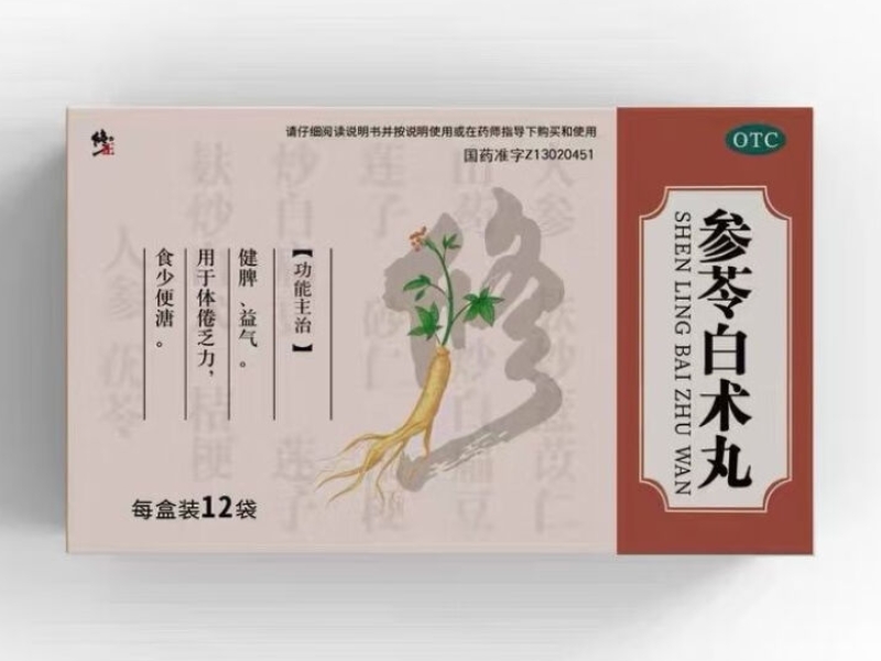 参苓白术丸
