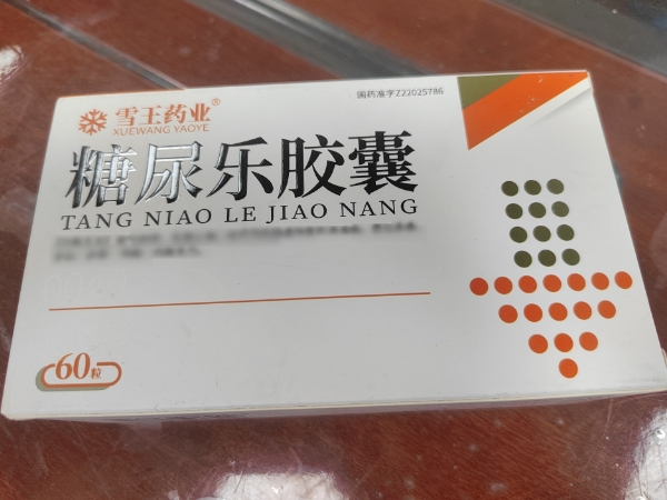 雪王药业糖尿乐胶囊招商代理 雪王药业