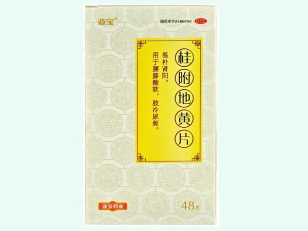 亚宝桂附地黄片招商代理 亚宝药业