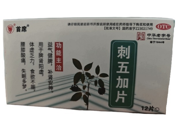 首席刺五加片招商代理 12片 首席