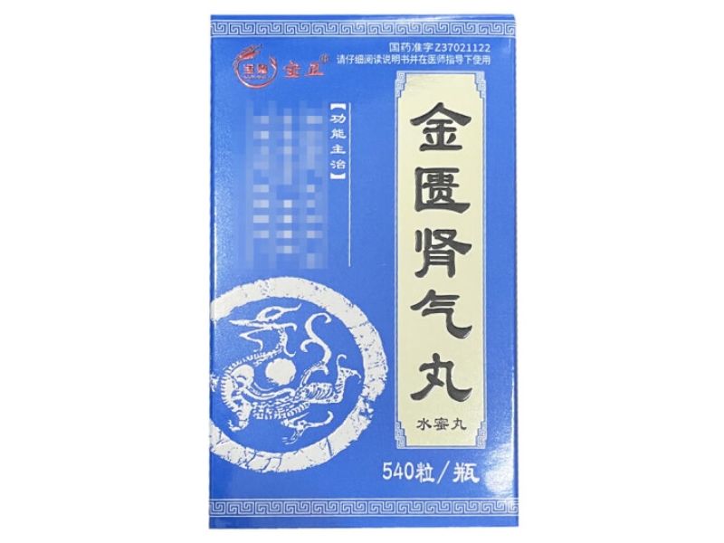 宝隆/宝正金匮肾气丸招商代理 540丸