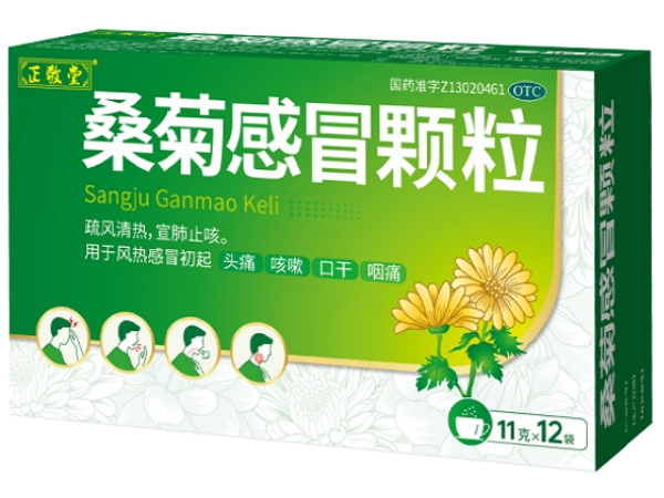 正敬堂桑菊感冒颗粒招商代理 