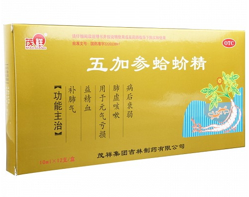 五加参蛤蚧精