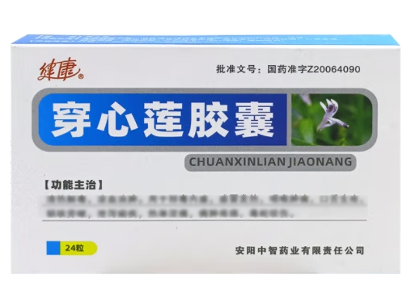 健康穿心莲胶囊招商代理 24粒