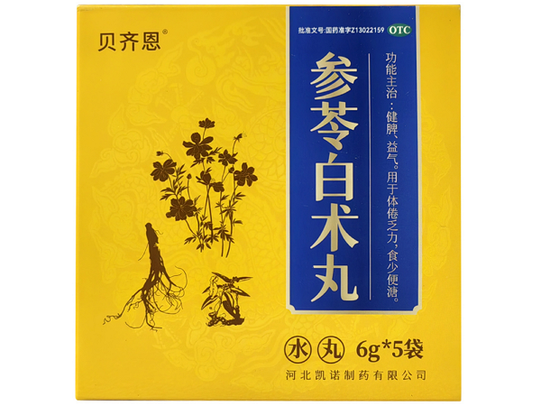 参苓白术丸