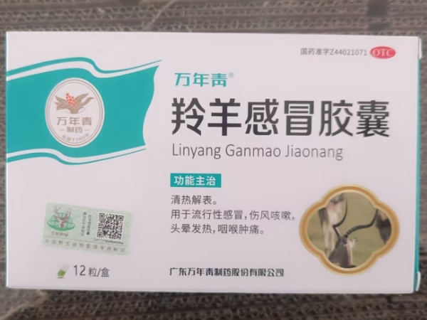 万年青羚羊感冒胶囊招商代理 