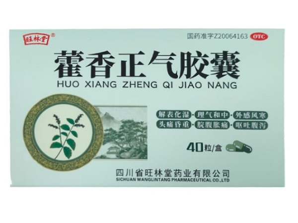 旺林堂藿香正气胶囊招商代理 40粒