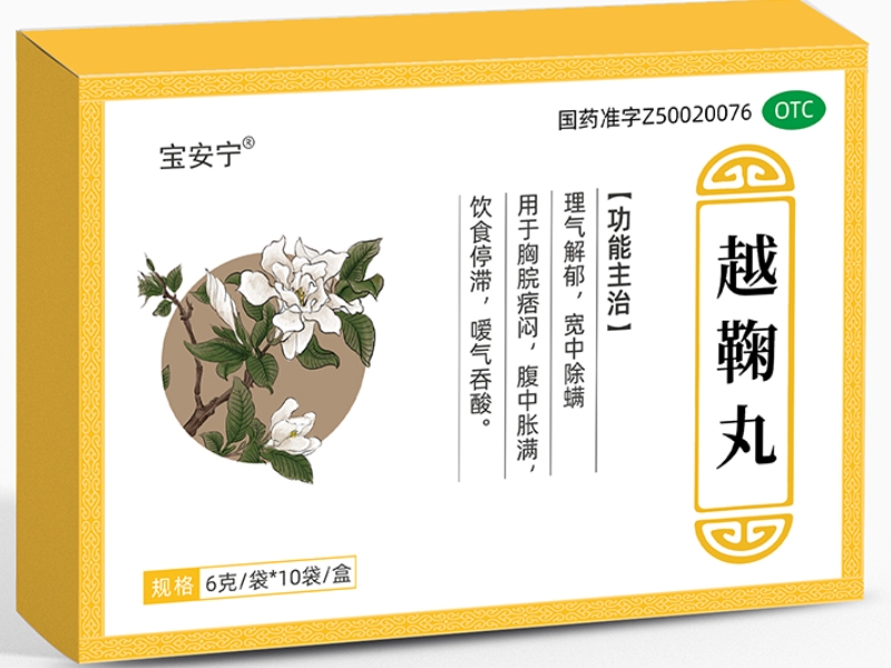 宝安宁越鞠丸招商代理 10袋