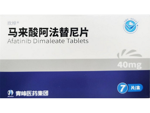马来酸阿法替尼片