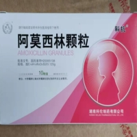 科抗阿莫西林颗粒招商代理 10袋
