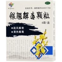 银翘解毒颗粒招商代理 九连山