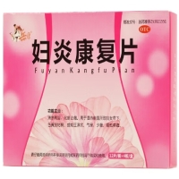 岳康妇炎康复片招商代理 48片