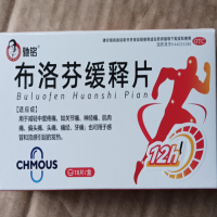 驰铭布洛芬缓释片招商代理 18片