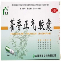 颐圣藿香正气胶囊招商代理 12粒 黄河中药