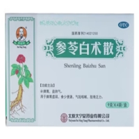 傅山/大宁堂参苓白术散招商代理 