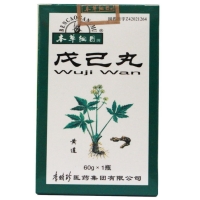 本草纲目戊己丸招商代理 