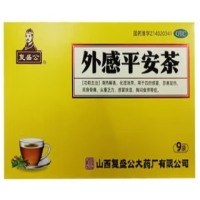 复盛公外感平安茶招商代理 9袋 复盛公