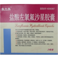 莫立奥盐酸左氧氟沙星胶囊招商代理 24粒 山西同达药业