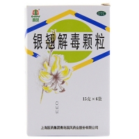 国风银翘解毒颗粒招商代理 6袋 青岛国风药业