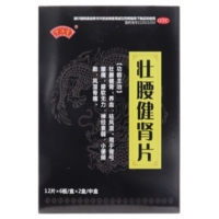 宁济堂壮腰健肾片招商代理 2小盒 宁济堂