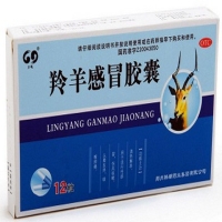 力瑰羚羊感冒胶囊招商代理 :羚羊感冒胶囊 0.42g*12粒 郑州韩都药业