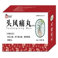 蜀汉本草头风痛丸招商代理 14袋