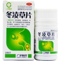 广宇制药冬凌草片招商代理 100片 三门峡广宇生物