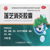 鹅城莲芝消炎胶囊招商代理 20粒 惠州市中药