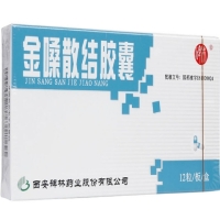 碑林金嗓散结胶囊招商代理 
