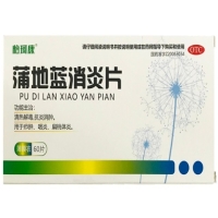 怡珂康蒲地蓝消炎片招商代理 60片