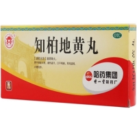 世一堂知柏地黄丸招商代理 哈药集团