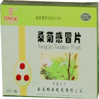 桑菊感冒片招商代理 :桑菊感冒片 24片 云南雄业制药
