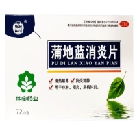 林宝蒲地蓝消炎片招商代理 72片