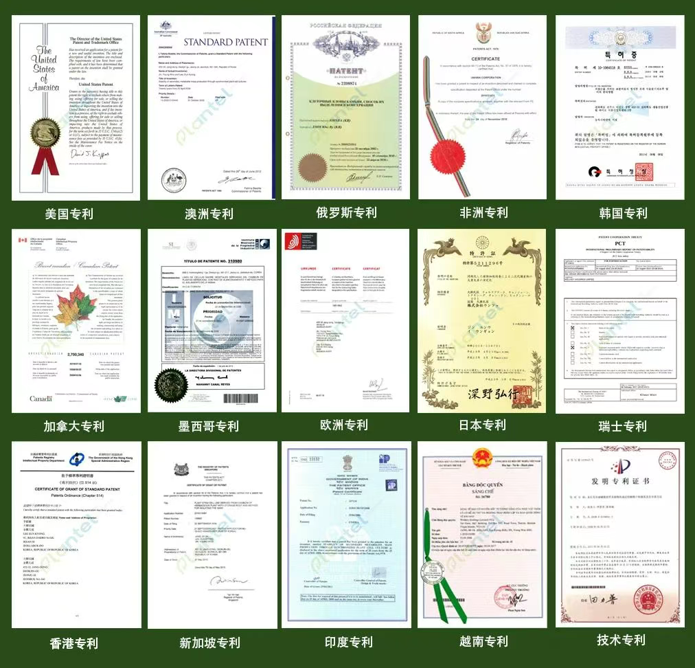 微信图片_20250717104612